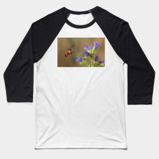 Hummingbird Clearwing Moth Baseball T-Shirt